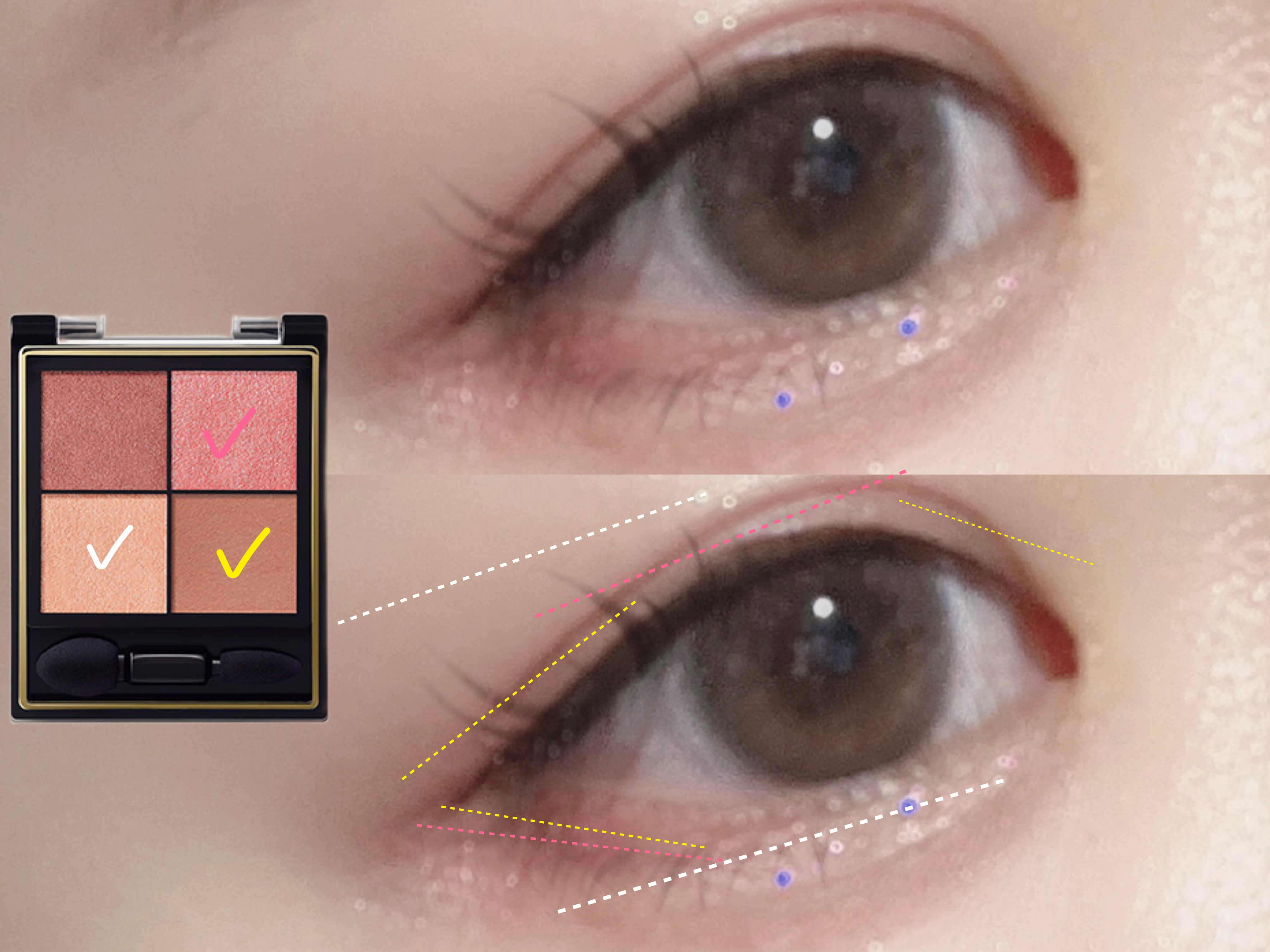 リアルクローズシャドウ/excel/アイシャドウパレットを使ったクチコミ（2枚目）