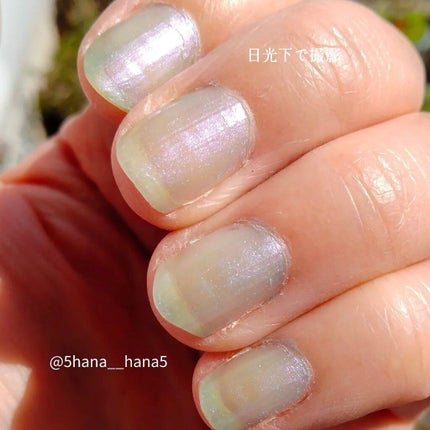 ネイルホリック Sheer pearl color/ネイルホリック/マニキュアを使ったクチコミ(3枚目)
