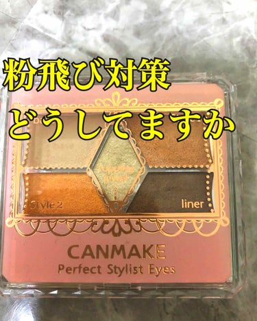 【旧品】パーフェクトスタイリストアイズ/キャンメイク/アイシャドウパレットを使ったクチコミ（1枚目）