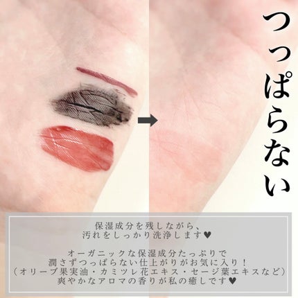 黒炭クレンジングバーム/ALLNA ORGANIC/クレンジングバームを使ったクチコミ(6枚目)