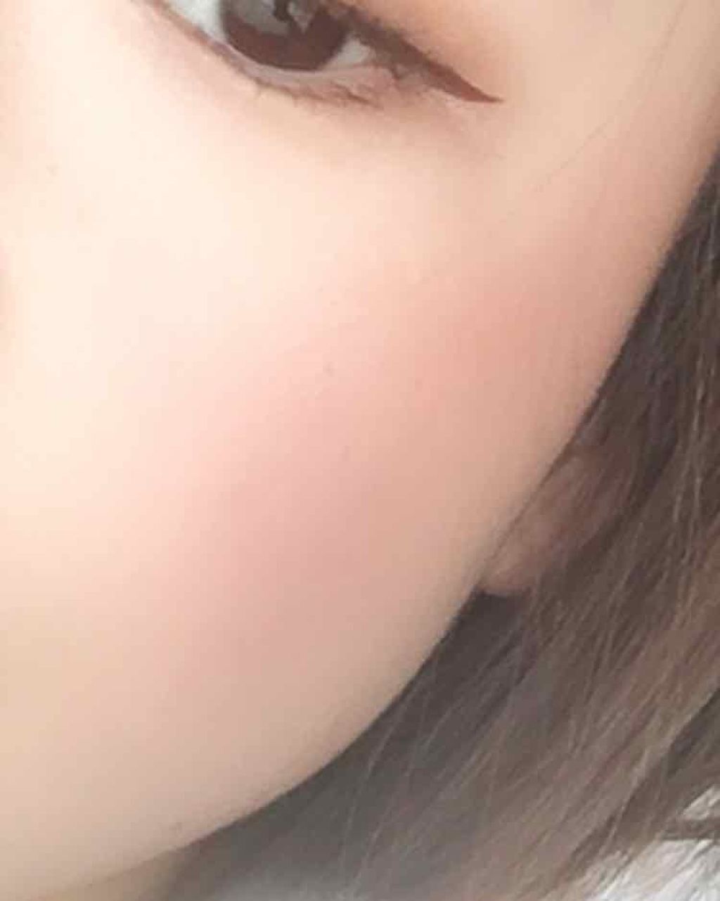 プロフェッショナルチーク/エルファー/パウダーチークを使ったクチコミ（2枚目）