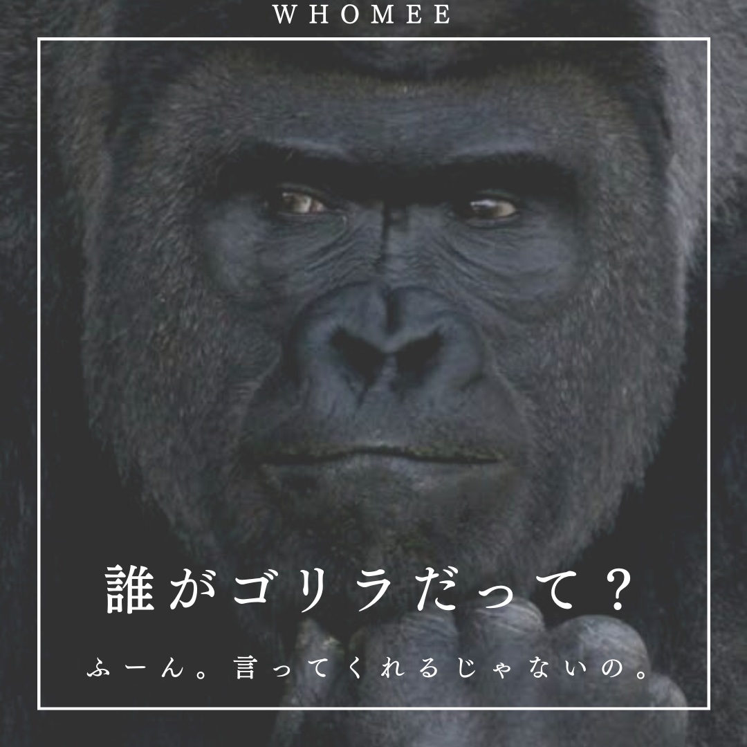 フーミー 時計回りパレット/WHOMEE/アイシャドウパレットを使ったクチコミ（1枚目）
