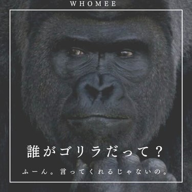 whomee2024年春の新作が面白そう！

私ゴリラ！🤣

ゴリラ？🦍
キリン？🦒

イガリさんに見てもらったら
「あなたは魚🐟」
とか意外な事言われそう..笑

骨格メイクなのにアイシャドウ？

抜