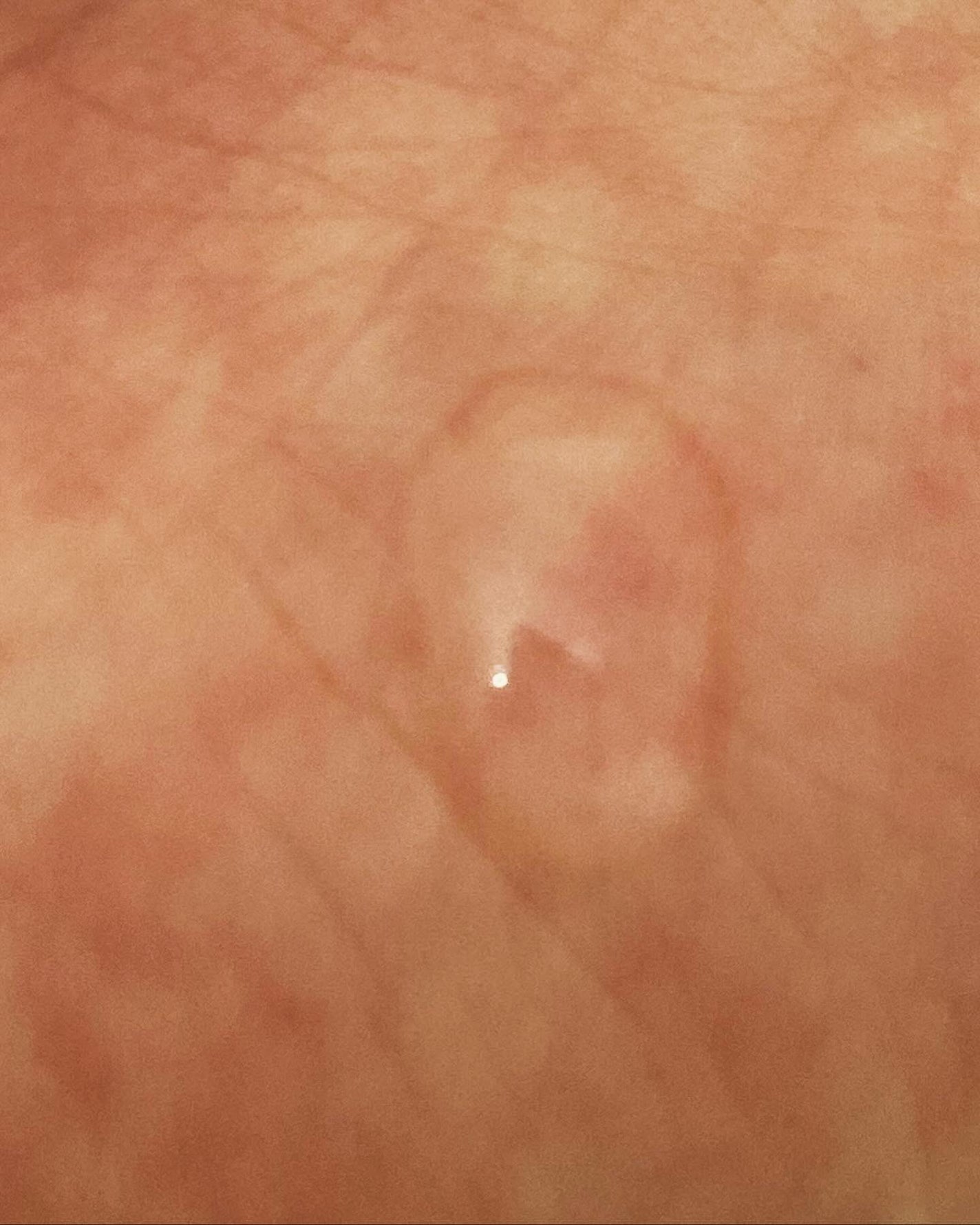 トリートメントローション (ブライトニング) とてもしっとり/アクアレーベル/化粧水を使ったクチコミ(2枚目)