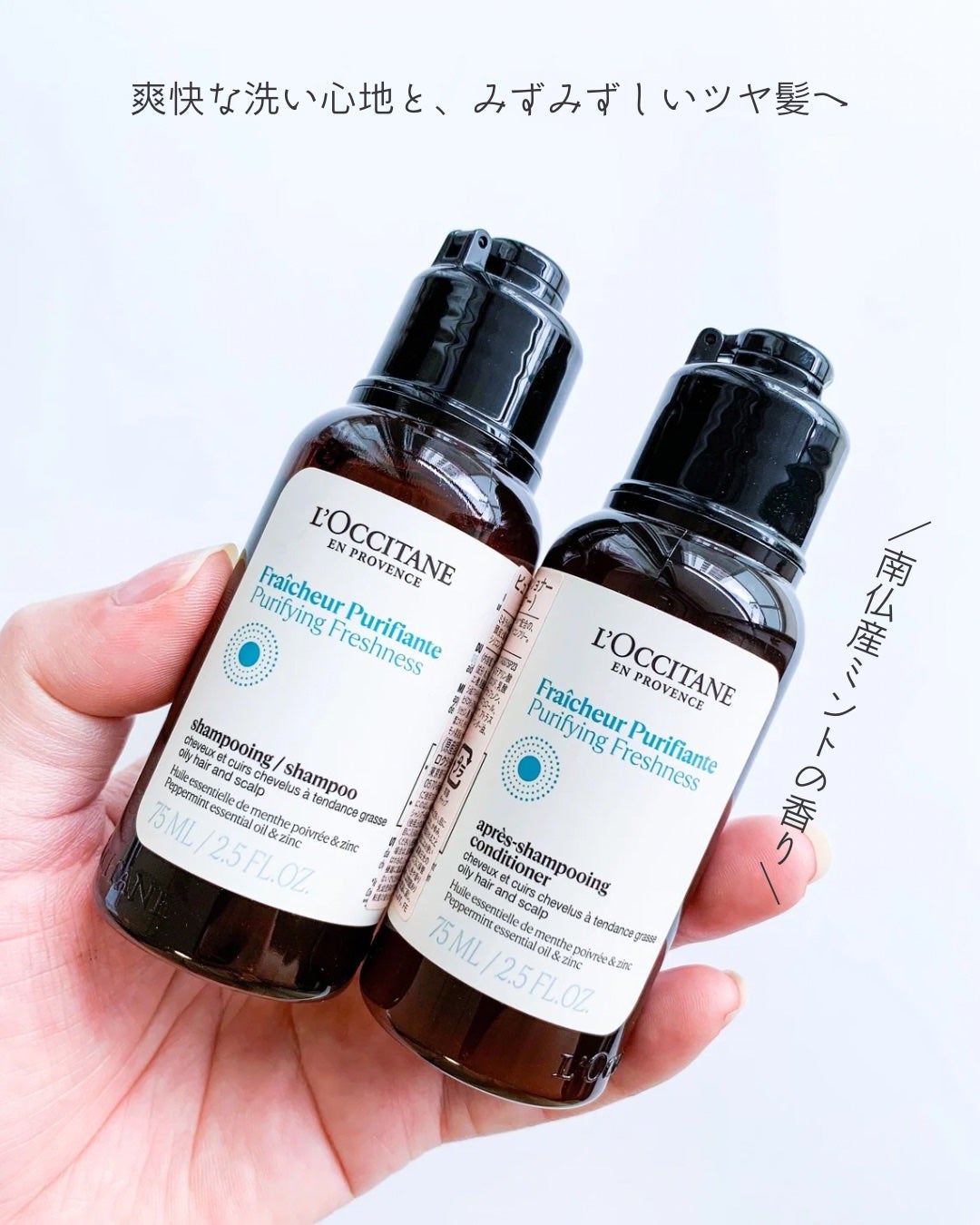 ピュアフレッシュ シャンプー/ コンディショナー/L'OCCITANE/市販シャンプーを使ったクチコミ(4枚目)