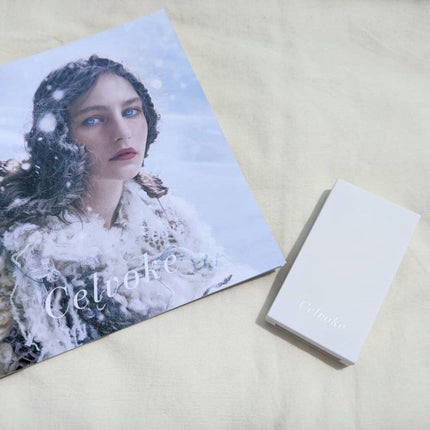 セルヴォーク インディケイトアイブロウパウダー/Celvoke/パウダーアイブロウを使ったクチコミ(4枚目)