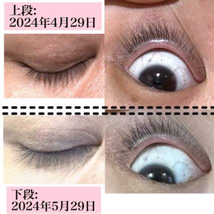 ラッシュリッチアイラッシュセラム/ロート製薬/まつげ美容液を使ったクチコミ(6枚目)