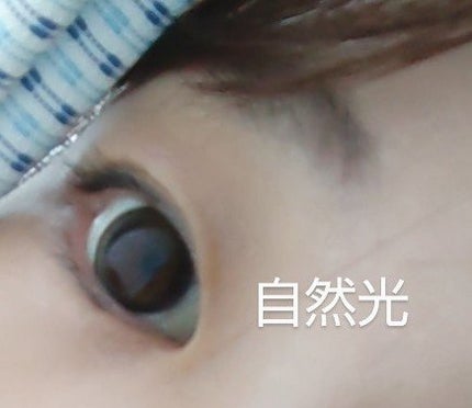 エバーカラーワンデーミリモア/エバーカラー/ワンデー(1DAY)カラコンを使ったクチコミ(5枚目)