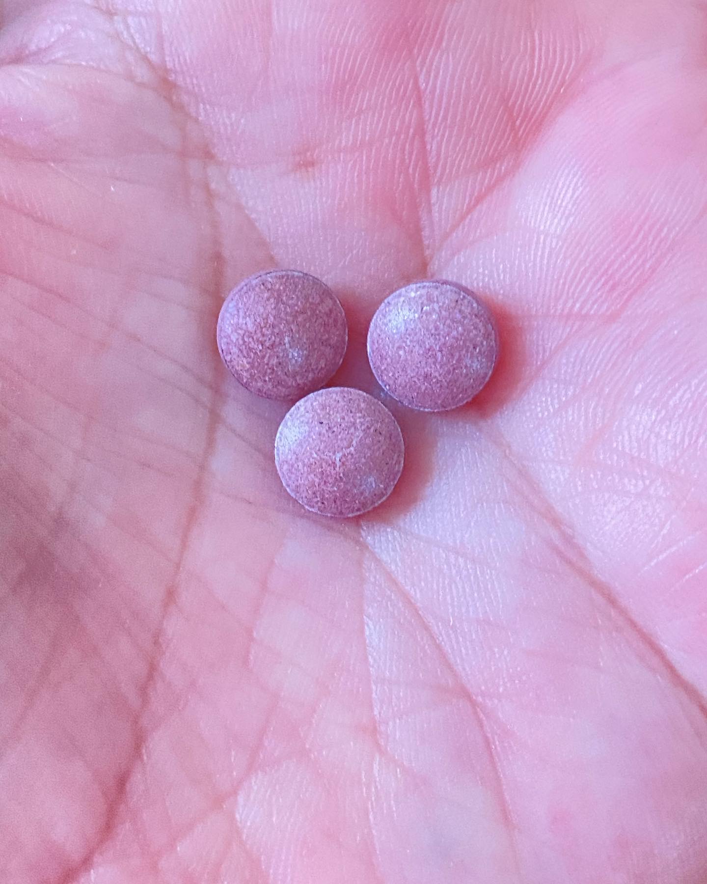 CCBee/山田養蜂場（健康食品）/健康サプリメントを使ったクチコミ（2枚目）