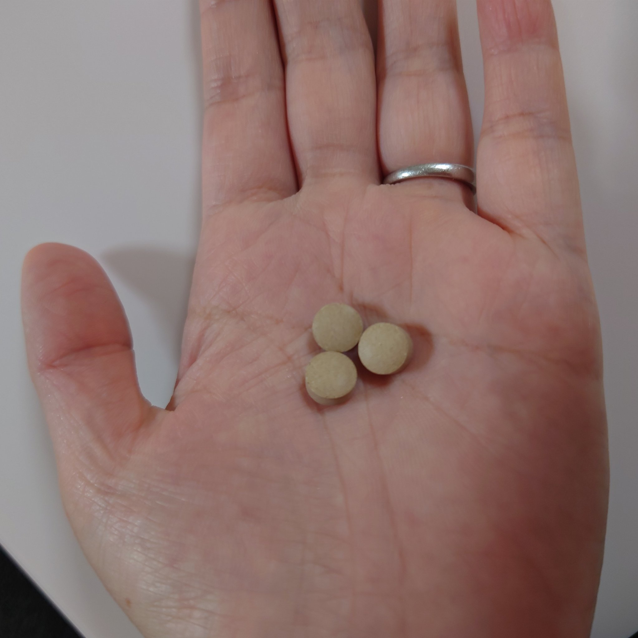 食べてもDiet/井藤漢方製薬/ボディサプリメントを使ったクチコミ（2枚目）