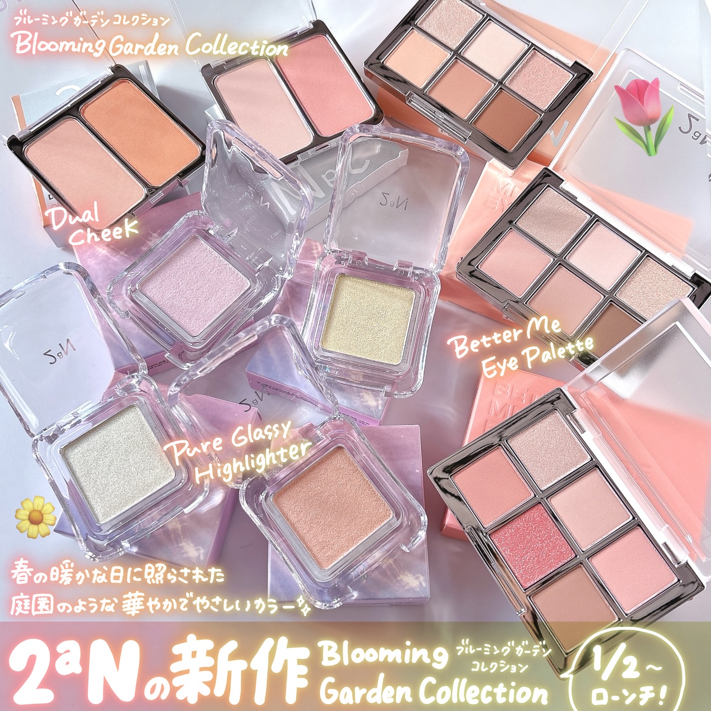 デュアルチーク/2aN/パウダーチークを使ったクチコミ（2枚目）