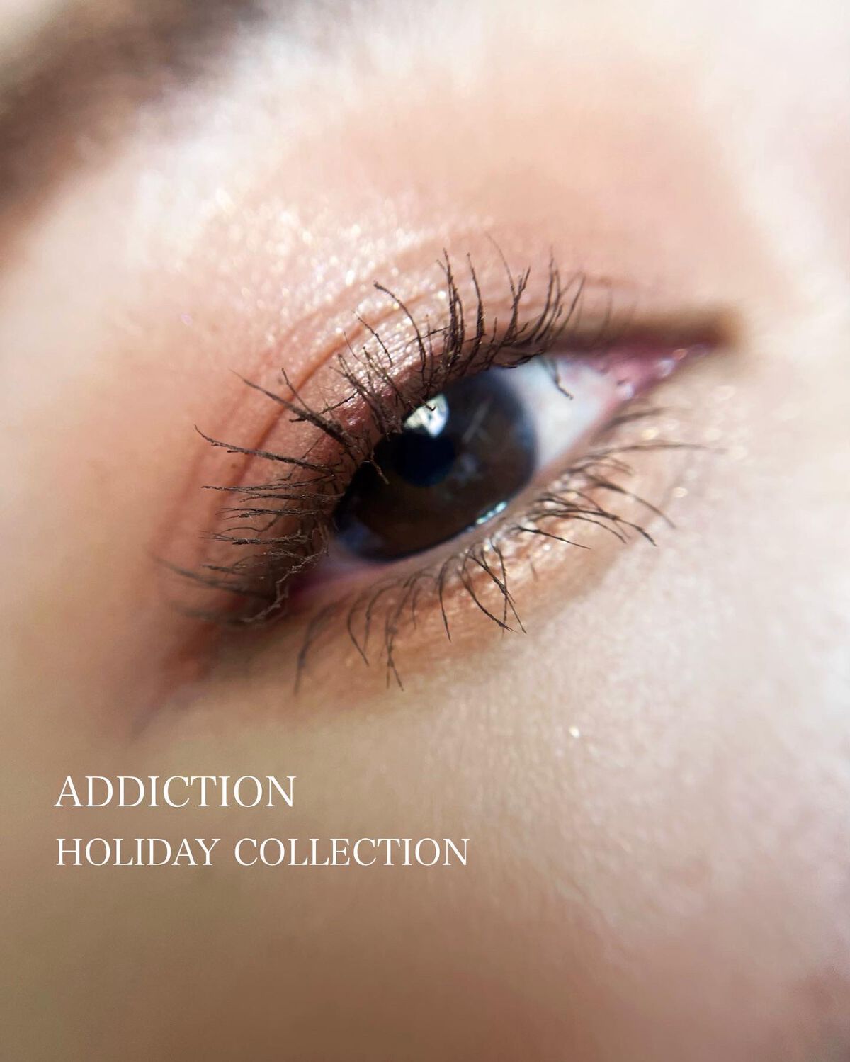 アイ & チーク コンパクトアディクション “ストーリー オブ ライフ”/ADDICTION/アイシャドウパレットを使ったクチコミ(1枚目)