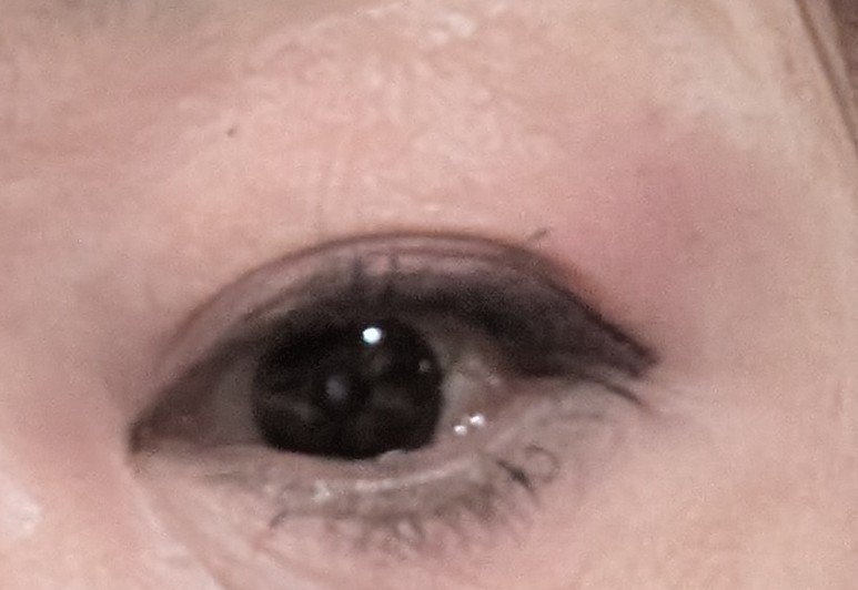 ジェル アイライナー PL20 パープル系/ちふれ/ジェルアイライナーを使ったクチコミ（2枚目）