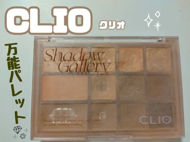 シェード アンド シャドウ パレット 01 SHADOW GALLERY/CLIO/アイシャドウパレットを使ったクチコミ（1枚目）