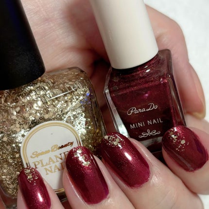 ネイルポリッシュ PLB16 シリウスの光線【旧】/PLANET NAIL/マニキュアを使ったクチコミ(1枚目)