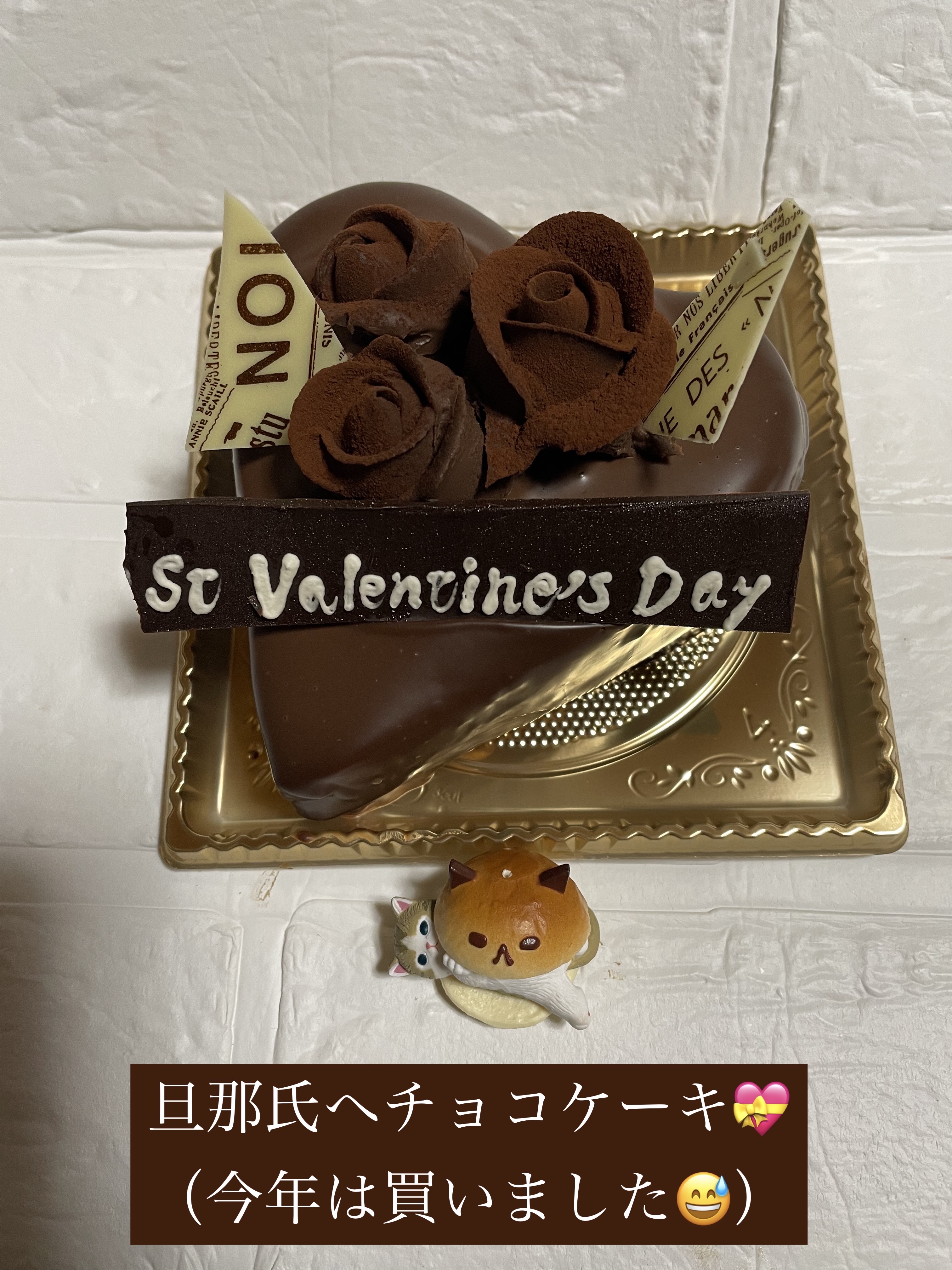 スイッチオン アイシャドー 10.ディープカカオ/CHOCHOSLAB/単色アイシャドウを使ったクチコミ（2枚目）