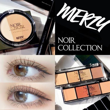 NOIR IN THE MULTI-USE CONTOUR PALETTE/MERZY/シェーディングを使ったクチコミ（1枚目）