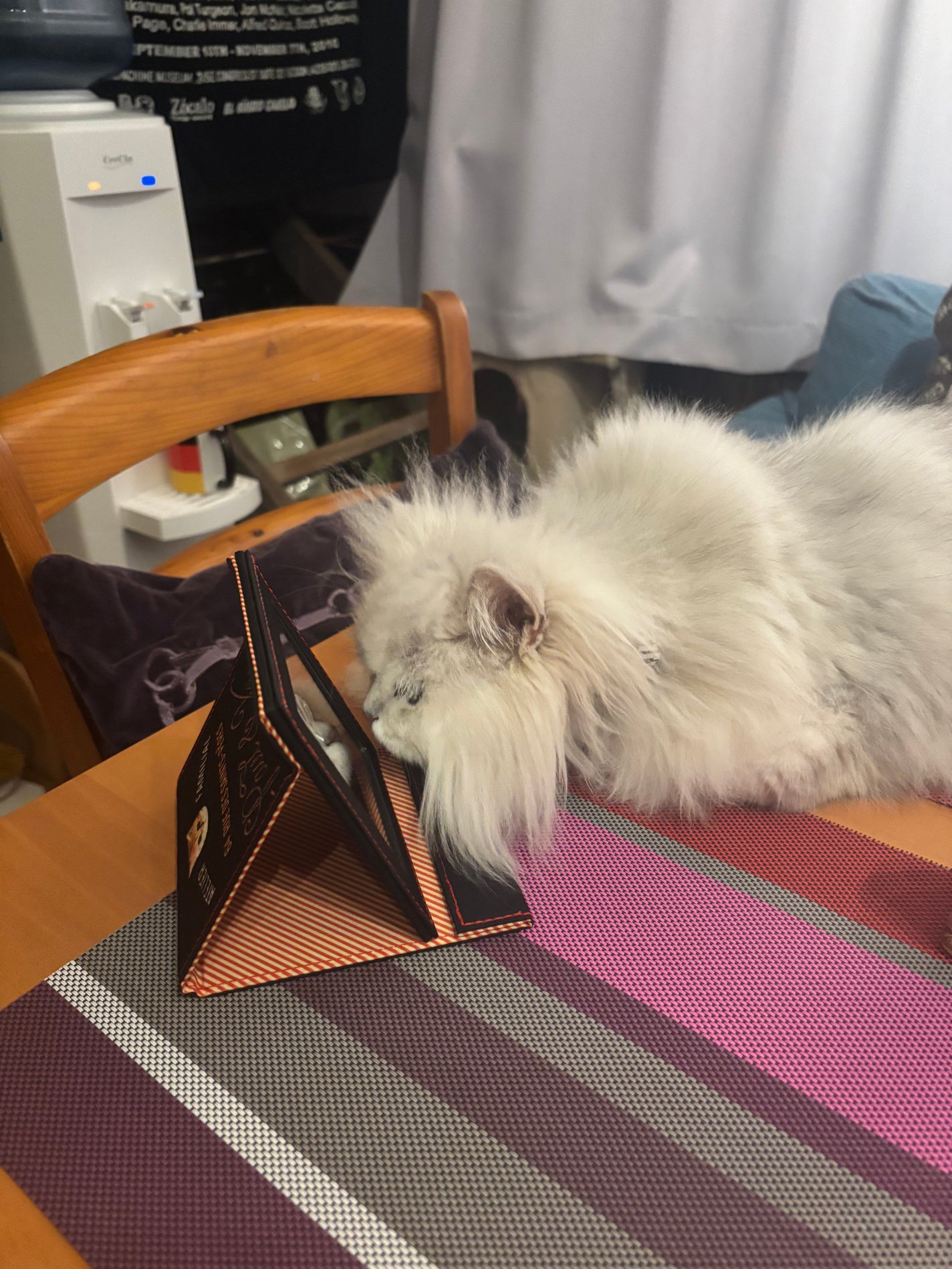 666Anonymous666 on LIPS 「#見とれる俺達#同じ猫達#嫉妬で噛むポール牧じゃなくて(古いに..」(8枚目)