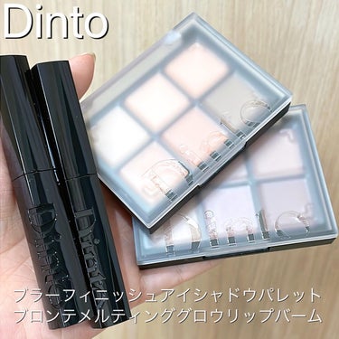 ブラーフィニシュシャドウパレット/Dinto/アイシャドウパレットを使ったクチコミ（1枚目）