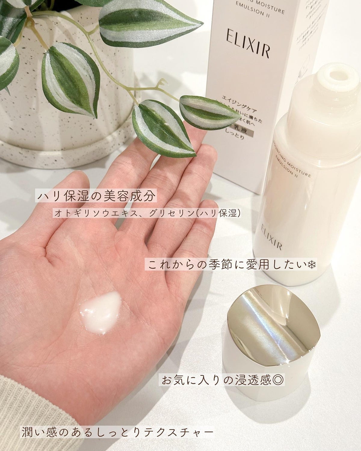 ワコナルビューティー100個入+ シロナルエッセンス30ml 2点-