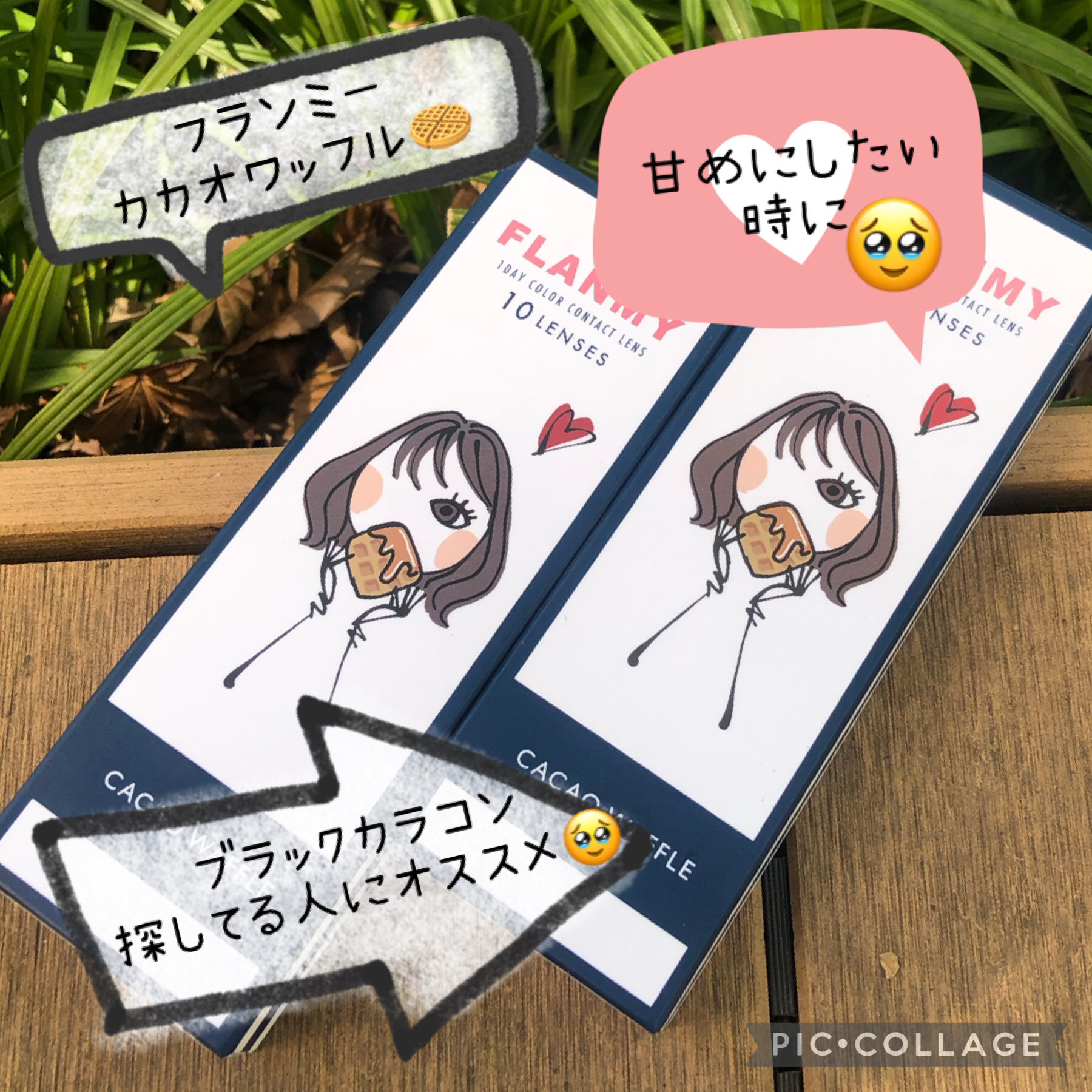FLANMY 1day カカオワッフル/FLANMY/ワンデー（１DAY）カラコンを使ったクチコミ（1枚目）