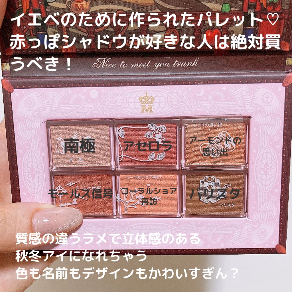 ナイストゥミーチュートランク RD 南半球/MAJOLICA MAJORCA/アイシャドウパレットを使ったクチコミ（2枚目）