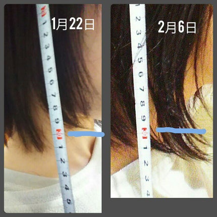 ヘアアクセルレーター レモンライムの香り/加美乃素本舗/頭皮ローションを使ったクチコミ(2枚目)