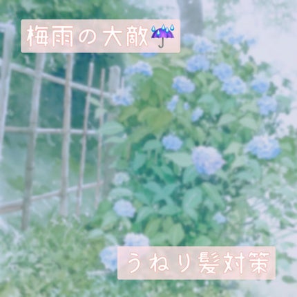 柳屋 あんず油/柳屋あんず油/ヘアオイルを使ったクチコミ(1枚目)