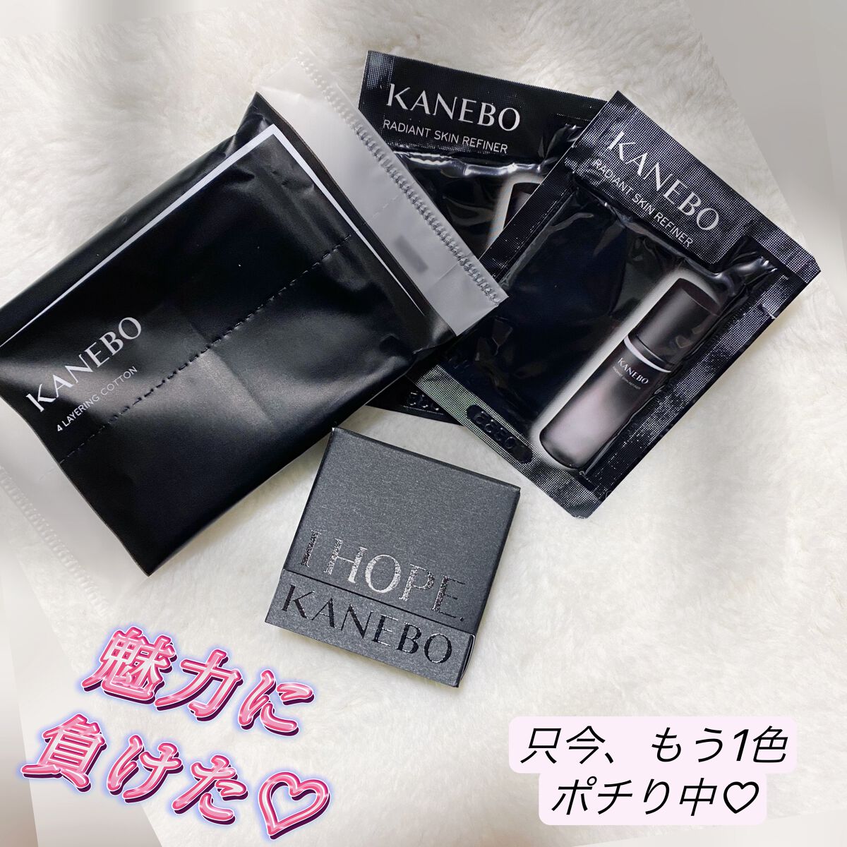 ブライトフューチャーボックス EX1 It's never too late to change yourself/KANEBO/単色アイシャドウを使ったクチコミ（1枚目）