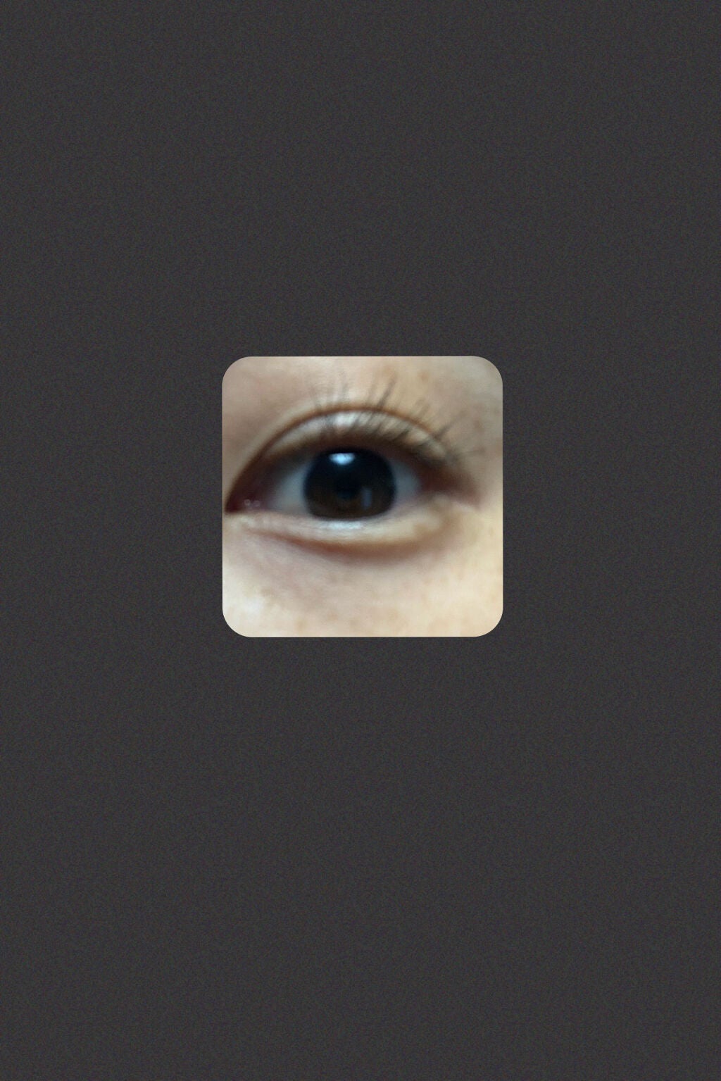 kana on LIPS 「qoo10メガ割で1800円くらいで購入。まつげパーマ行きたい..」(2枚目)