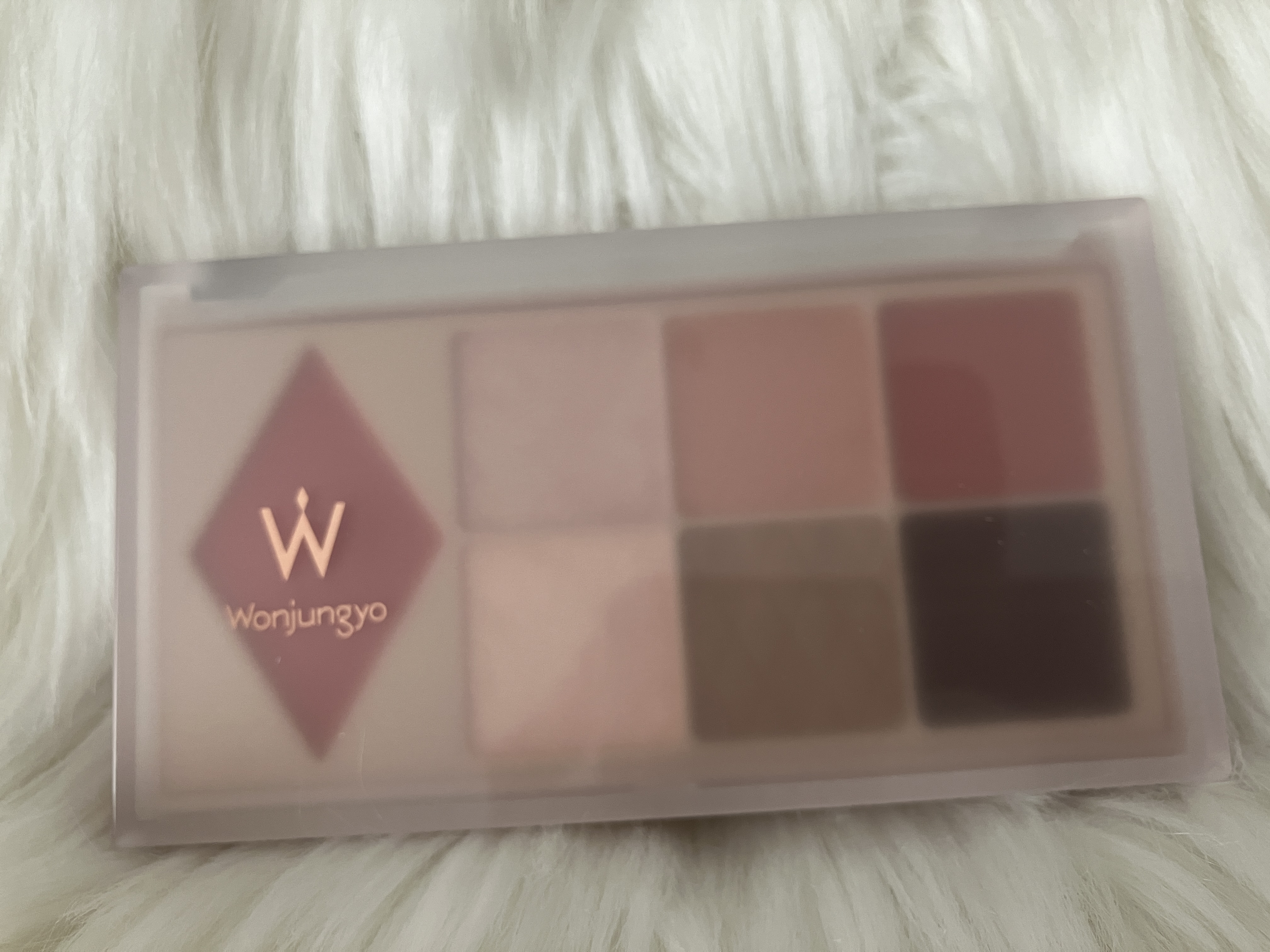 ウォンジョンヨ Ｗ デイリームードアップパレット /Wonjungyo/アイシャドウパレットを使ったクチコミ（1枚目）
