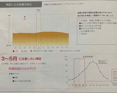 APEX マンスリースキンケアプログラム(旧)のクチコミ「POLA APEXを1年6ヶ月使ってみて




私の肌はAPEXで管理してもらってます。
A.....」（2枚目）