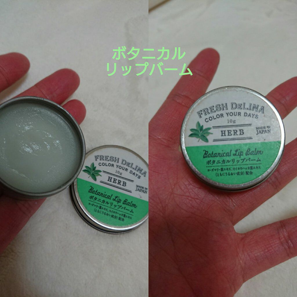 フレッシュデリーナ ボタニカル リップバーム オレンジ/FRESH DELINA（フレッシュデリーナ）/リップケアを使ったクチコミ（1枚目）