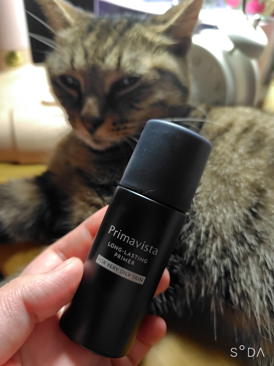 クロノビューティ トーンアップUV/アリィー/日焼け止めクリームを使ったクチコミ(2枚目)