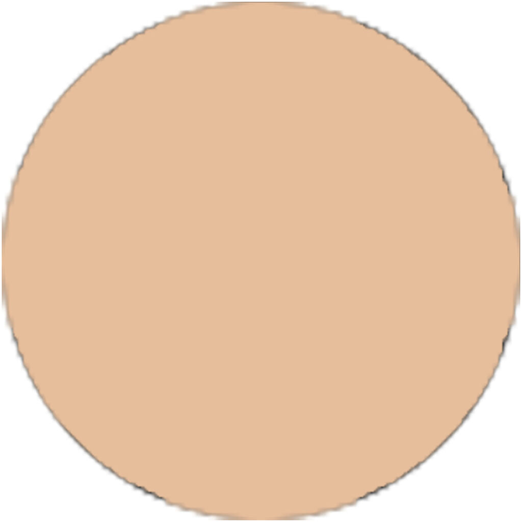 プティメール　ミネラルコンク クッションファンデーション OC-405