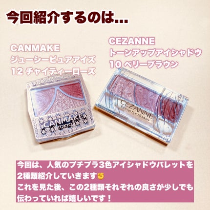 ジューシーピュアアイズ/キャンメイク/アイシャドウパレットを使ったクチコミ(2枚目)