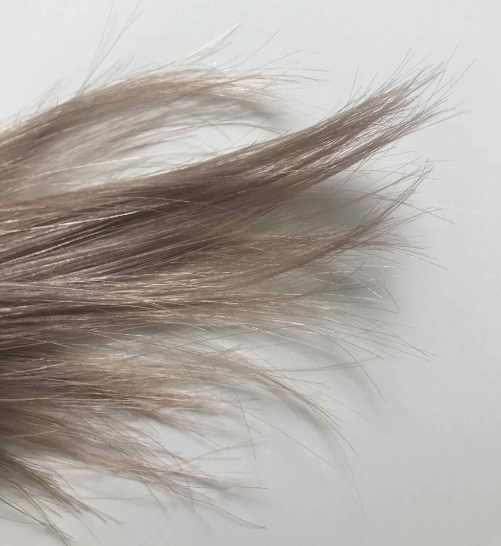 エブリ カラートリートメント/アンナドンナ/ヘアカラーを使ったクチコミ(2枚目)