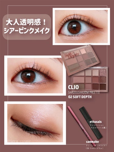 シェード アンド シャドウ パレット 02 SOFT DEPTH/CLIO/アイシャドウパレットを使ったクチコミ（1枚目）