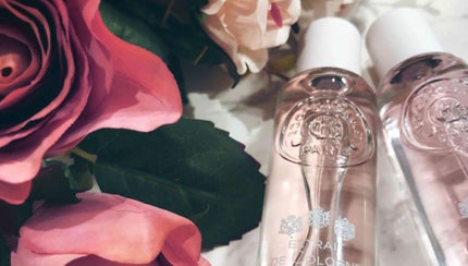 【保存版】シャワージェルとは?魅力から使い方、おすすめブランドまでまるっとご紹介