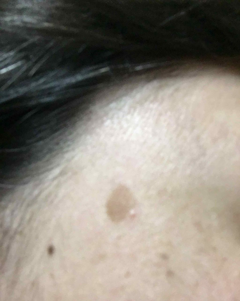 DERMACOL MAKE-UPcover/DERMACOL/コンシーラーを使ったクチコミ（3枚目）