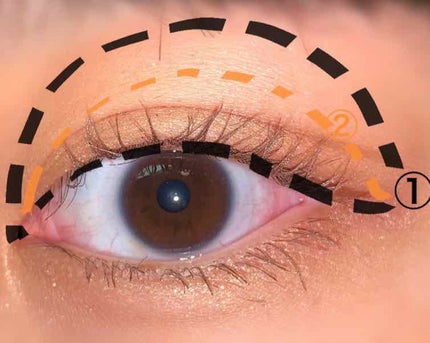 UR GLAM BLOOMING EYE COLOR PALETTE/U R GLAM/アイシャドウパレットを使ったクチコミ(2枚目)