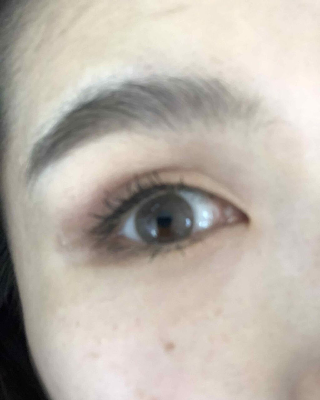 トーンアップアイシャドウ/CEZANNE/アイシャドウパレットを使ったクチコミ(1枚目)