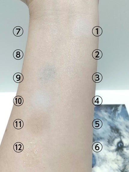 エクスプローラ12色 動物アイシャドウパレット/PERFECT DIARY/アイシャドウパレットを使ったクチコミ(4枚目)