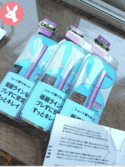 「密着アイライナー」ショート筆リキッド/デジャヴュ/リキッドアイライナーを使ったクチコミ(1枚目)