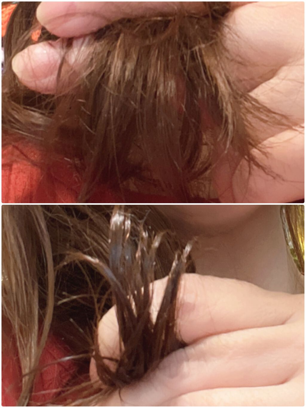 フィーノ プレミアムタッチ 濃厚美容液ヘアオイル/フィーノ/ヘアオイルを使ったクチコミ(4枚目)