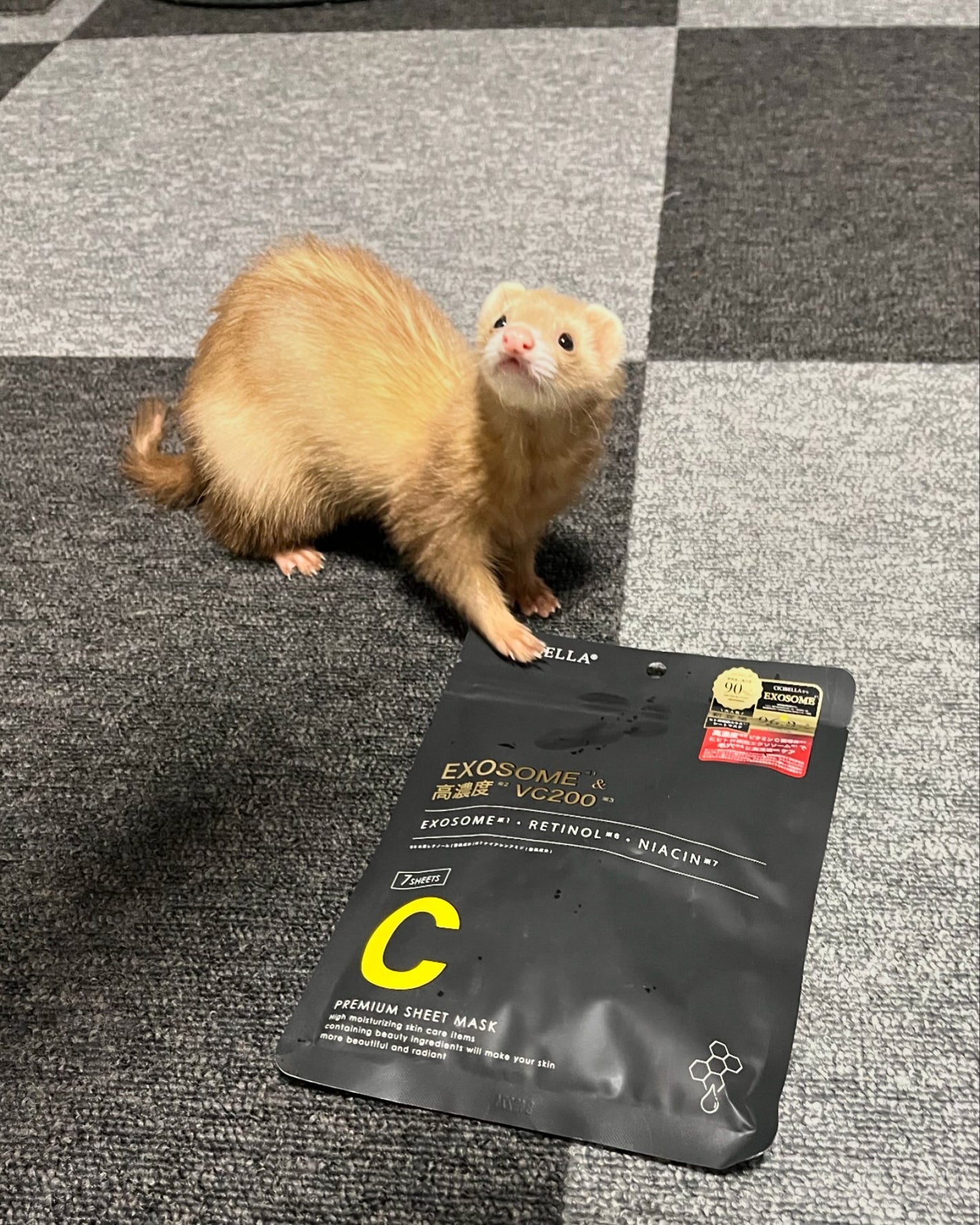 シートマスク ヒト幹細胞×VC200/CICIBELLA/シートマスク・パックを使ったクチコミ(2枚目)