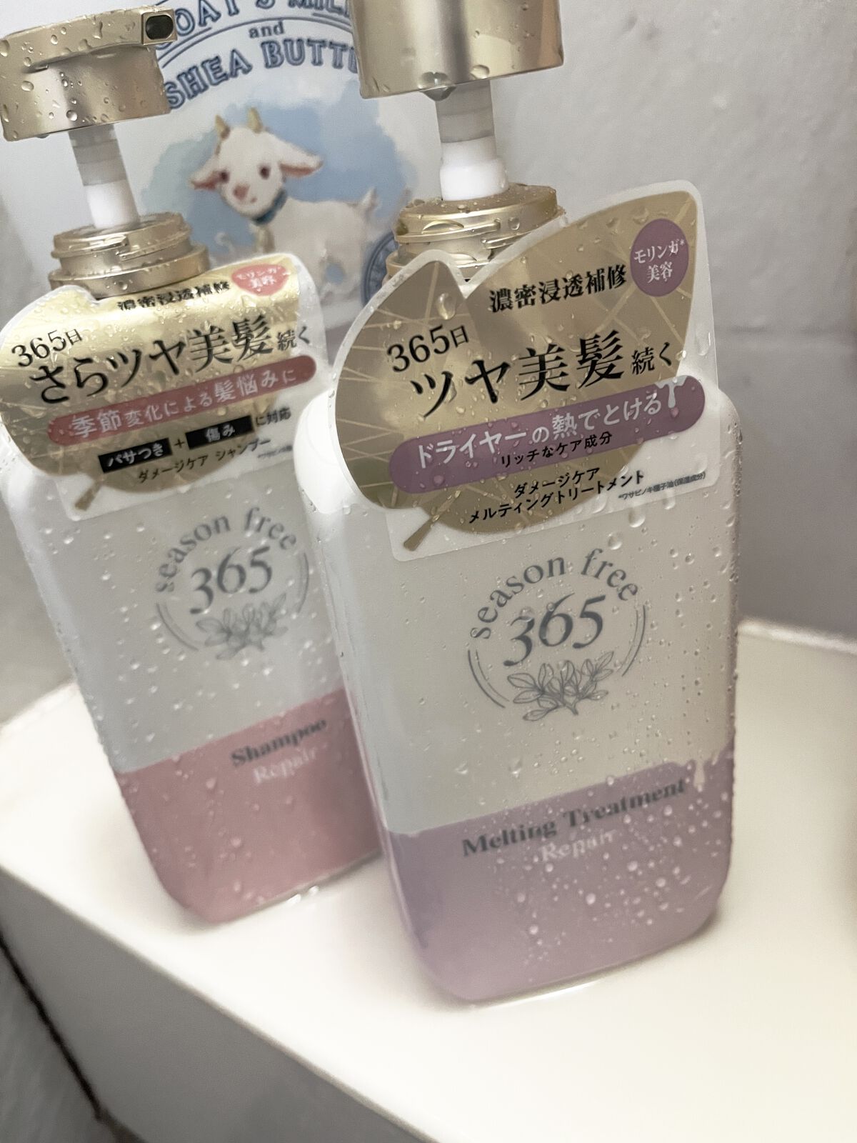 リペア シャンプー/メルティングトリートメント/season free 365/市販シャンプーを使ったクチコミ（1枚目）