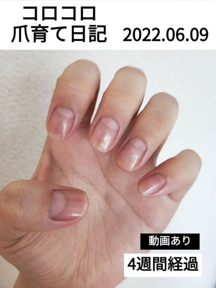 ベタガード/フローラル 4 シーズンズ/ハンドクリームを使ったクチコミ(1枚目)