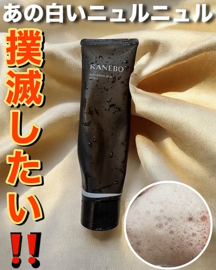 スクラビング マッド ウォッシュ/KANEBO/洗顔フォームを使ったクチコミ(1枚目)