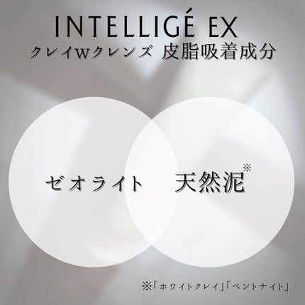 クレイ W クレンズ/アンテリージェEX/クレンジングクリームを使ったクチコミ(7枚目)
